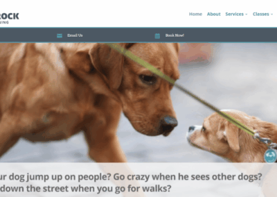 Blue Rock Dog Training